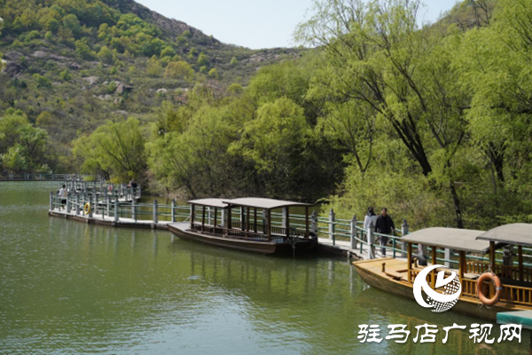 駐馬店各縣區網絡名人齊聚遂平 共尋天中最美春天