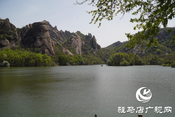 駐馬店各縣區網絡名人齊聚遂平 共尋天中最美春天