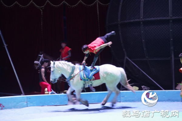 駐馬店各縣區網絡名人齊聚遂平 共尋天中最美春天