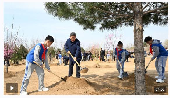 時政新聞眼丨參加首都義務植樹活動，習近平為何強調這三個關鍵詞？