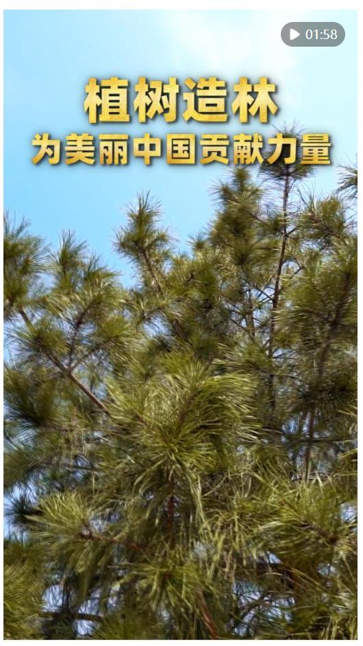 第1視點(diǎn)｜植樹造林 為美麗中國(guó)貢獻(xiàn)力量