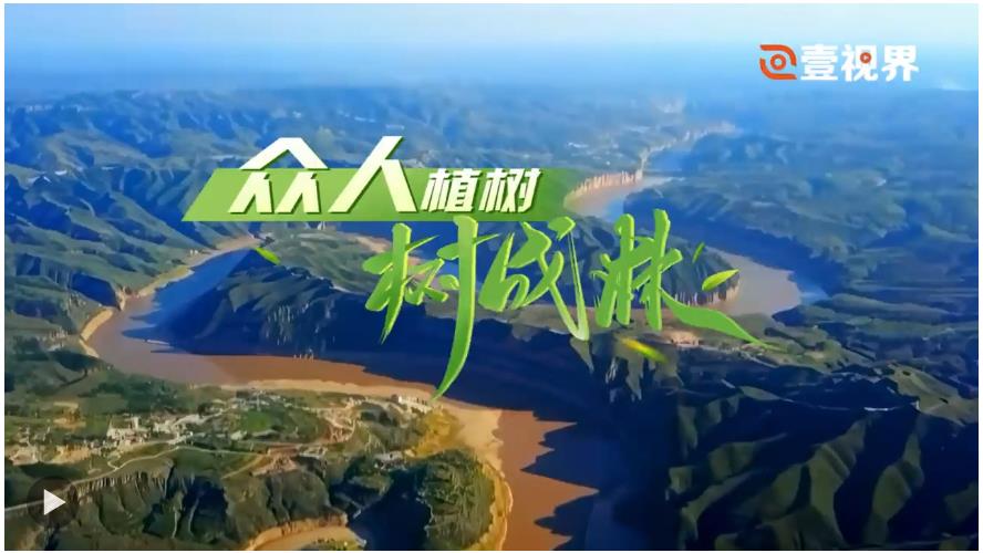 壹視界·微視頻｜眾人植樹樹成林