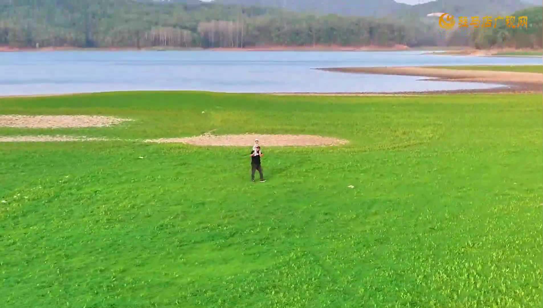 【大美天中】確山縣薄山湖：碧波瀲滟青山映 秘境尋春綠毯迎