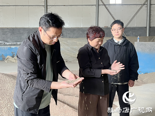 上蔡新農人林卡：黑小麥磨出金色未來 打造綠色產業鏈助農奔小康