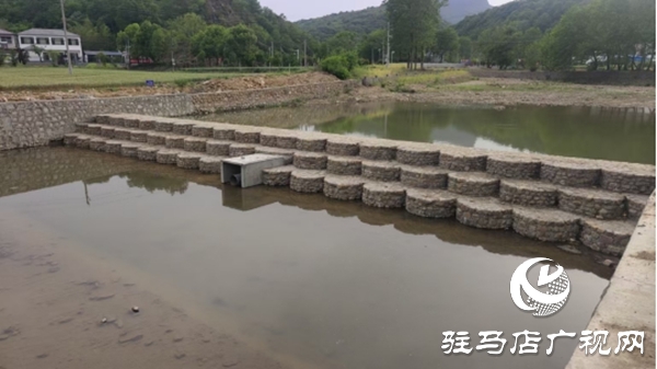 嵖岈山鎮產業賦能促發展 擘畫鄉村振興美好藍圖