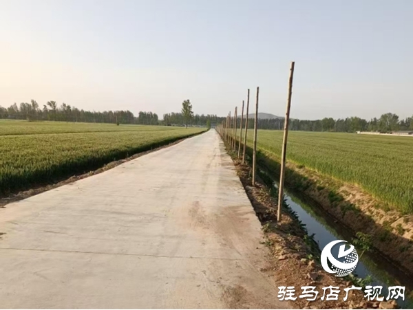 嵖岈山鎮產業賦能促發展 擘畫鄉村振興美好藍圖