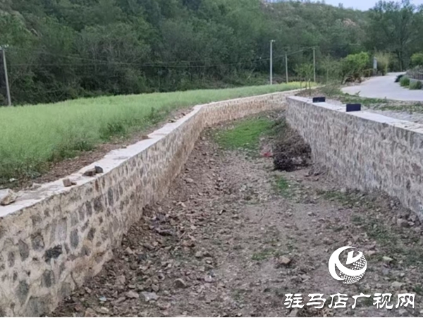 嵖岈山鎮產業賦能促發展 擘畫鄉村振興美好藍圖