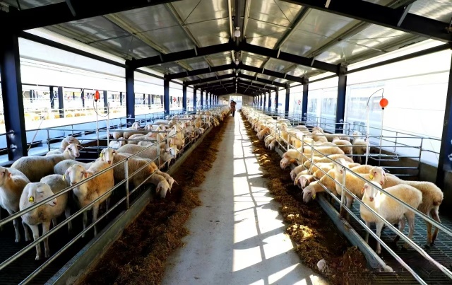 駐馬店市動物疫病防疫檢疫中心發(fā)布2025年5月份動物疫病預(yù)警預(yù)報