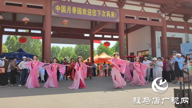 泌陽彩帶舞龍隊“舞”進南陽月季園 共赴文化交流之約