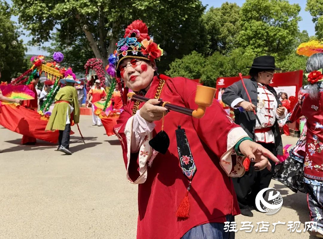 泌陽彩帶舞龍隊“舞”進南陽月季園 共赴文化交流之約