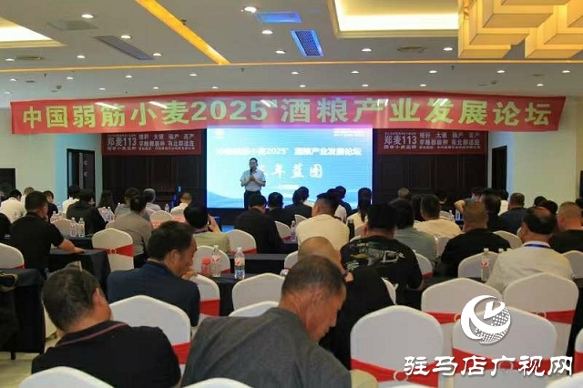  中國弱筋小麥2025'酒糧產業發展論壇在新蔡縣舉行