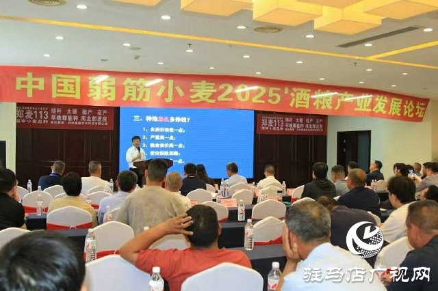  中國弱筋小麥2025'酒糧產業發展論壇在新蔡縣舉行