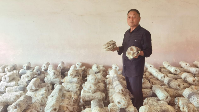 全國勞動模范高建林：以食用菌種植助力鄉(xiāng)村振興