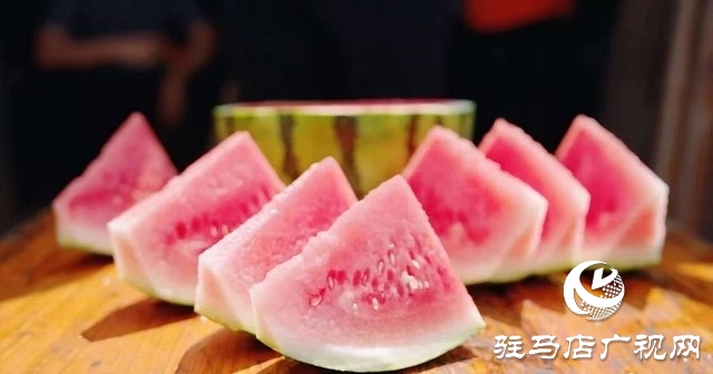 新蔡縣練村鎮：西瓜搶“鮮”上市 開啟豐收樂章