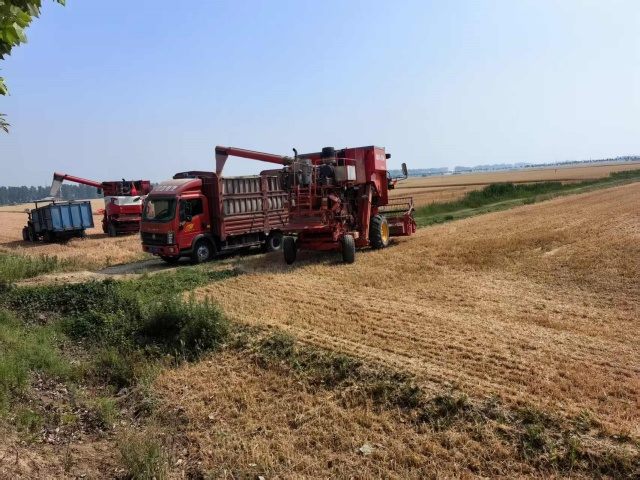 駐馬店市供銷合作社系統織密“三夏”服務網 繪就豐收新畫卷