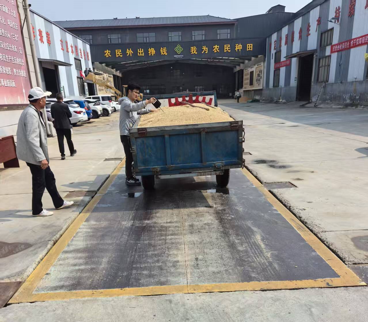 駐馬店市供銷合作社系統織密“三夏”服務網 繪就豐收新畫卷