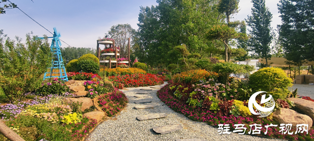 駐馬店驛城區(qū)魏莊村：百畝花?？楀\繡 文旅新篇引客來
