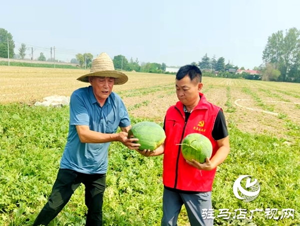 情系瓜農解急難 愛心助銷人心暖