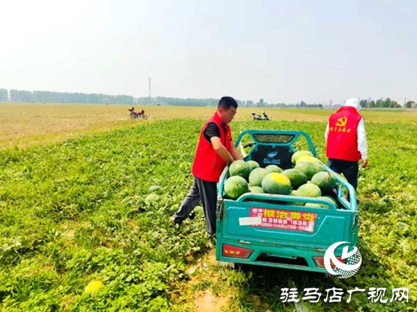 情系瓜農解急難 愛心助銷人心暖