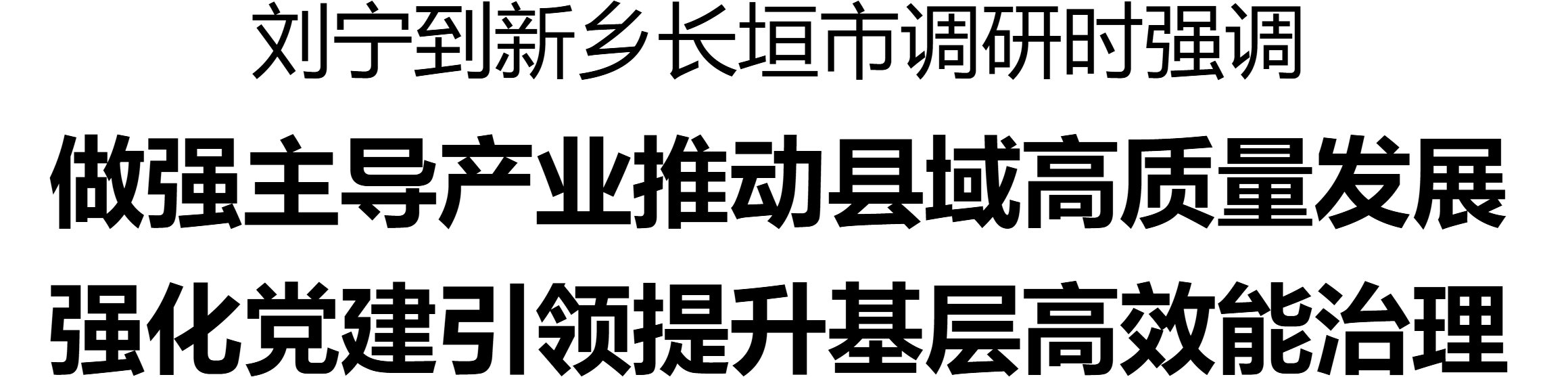 劉寧到新鄉長垣市調研產業發展、基層治理等工作