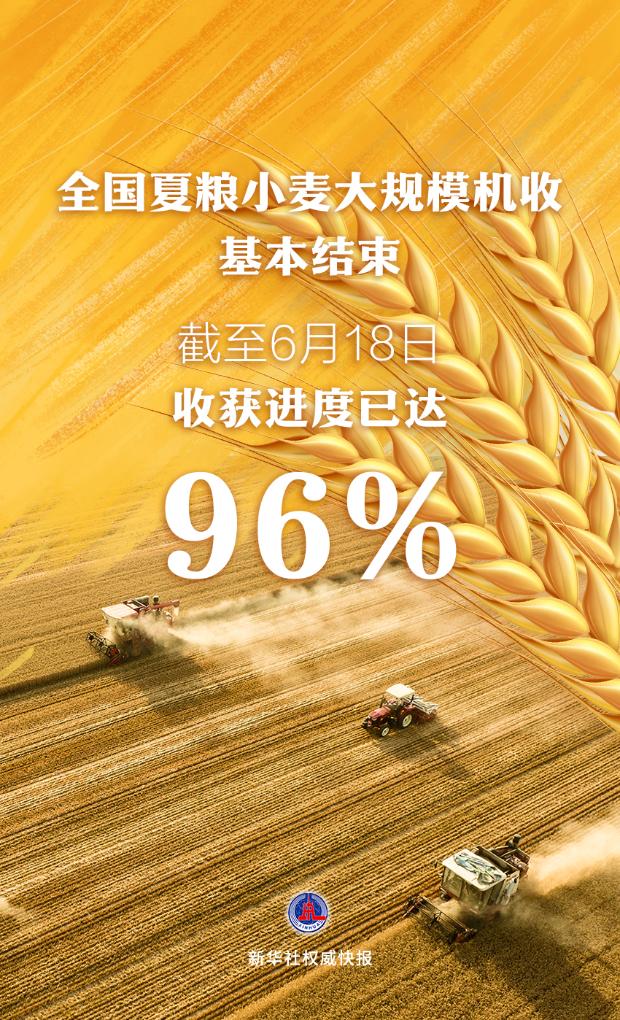 全國夏糧小麥大規模機收基本結束