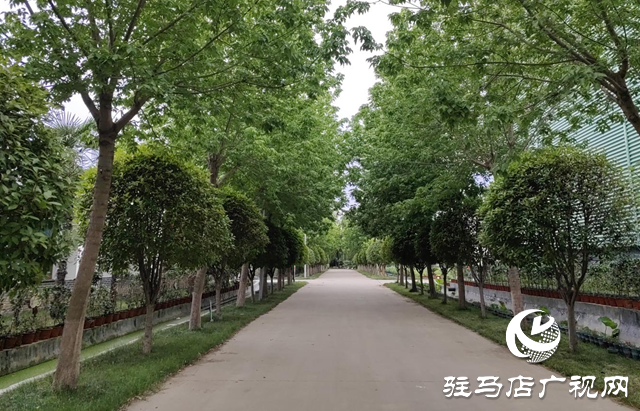 平輿縣李屯鎮(zhèn)：以“三園”建設(shè)助力產(chǎn)業(yè)化發(fā)展