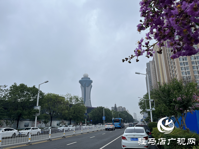 今日夏至：盛夏如約而至