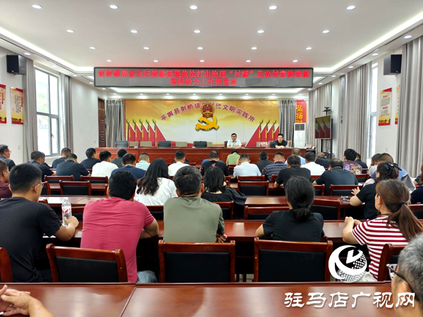 平輿縣射橋鎮召開掃黑除惡暨依法打擊治理“村霸”及農村家族宗族黑惡勢力工作推進會