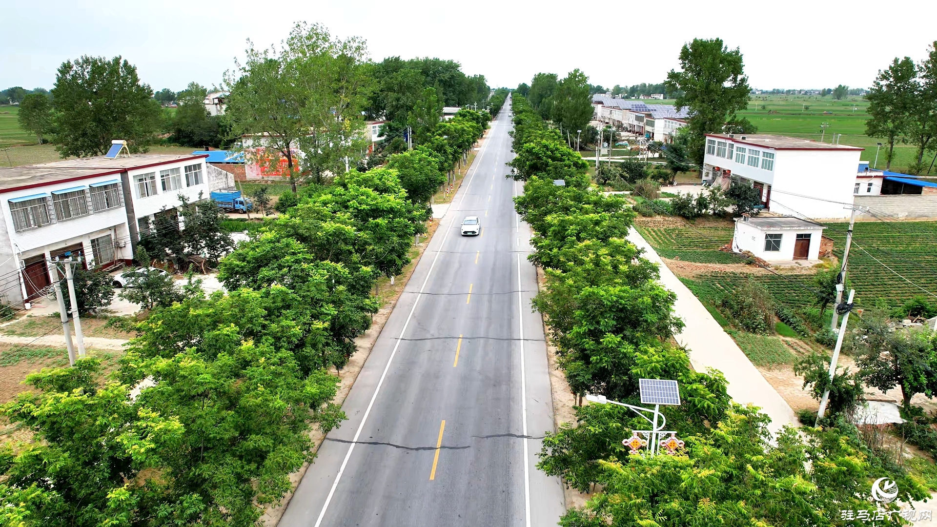 國道230通武線駐馬店段榮膺全國公路安全精品工程 正陽段安全設施精細化提升成效顯著