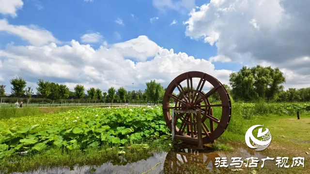 【大美天中】泌陽現(xiàn)“水晶天”!漢風(fēng)古韻與湖光云影同框