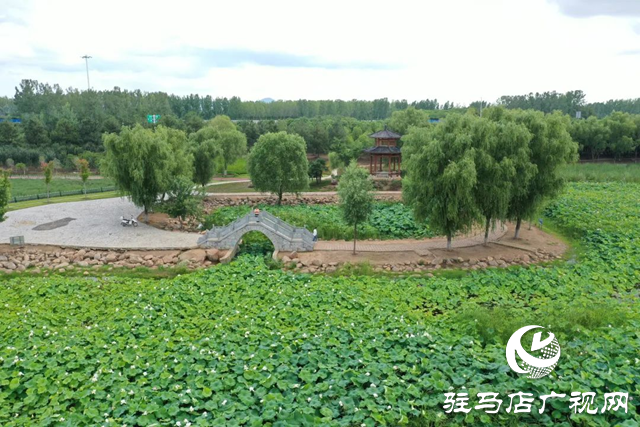 【大美天中】泌陽現(xiàn)“水晶天”!漢風(fēng)古韻與湖光云影同框