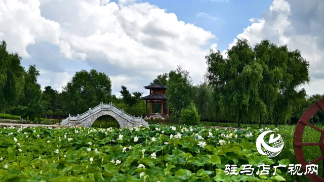 【大美天中】泌陽現(xiàn)“水晶天”!漢風(fēng)古韻與湖光云影同框