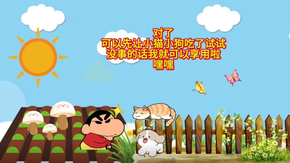 讓動物吃野生蘑菇試毒靠譜嗎？