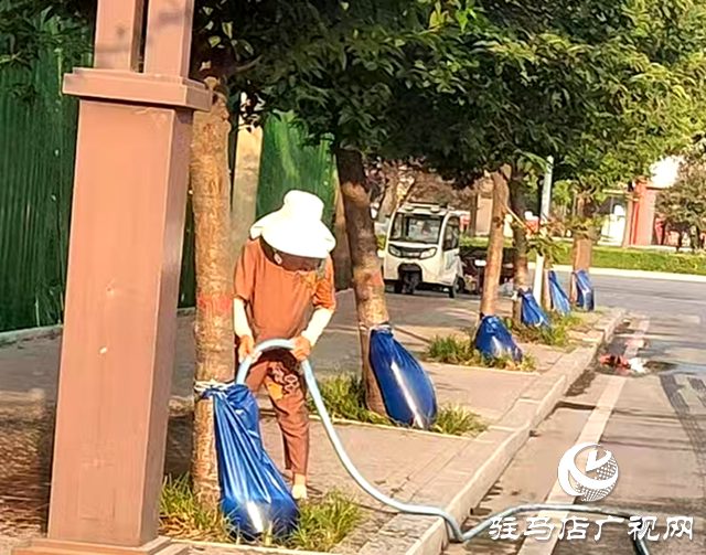 確山縣住建局:2000個“抗旱保綠神器”上崗