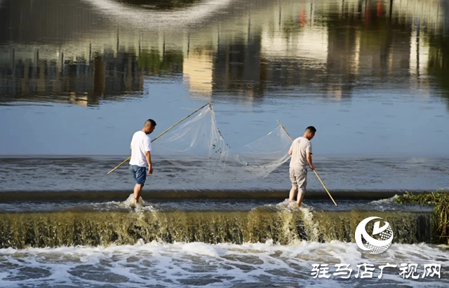 從泌陽陳正的《南河公園晨曲》 看南河公園的晨韻之美