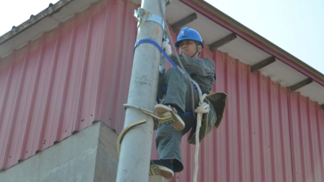 國網上蔡縣供電公司：進行線路升級改造 有效提升電壓質量