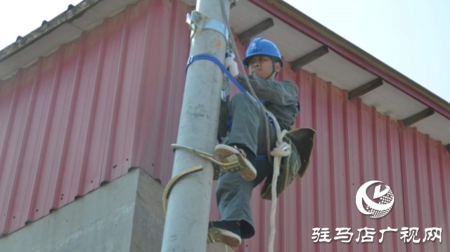國網上蔡縣供電公司:進行線路升級改造 有效提升電壓質量