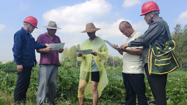 國網新蔡供電公司全力抗旱保電 守護民生“生命線”