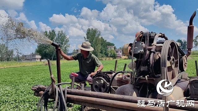 新蔡縣磚店鎮:干群同心抗旱情 全力保秋穩增收
