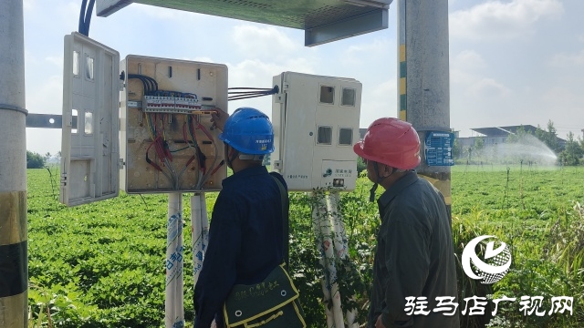 國網新蔡供電公司全力抗旱保電 守護民生與農耕“生命線”