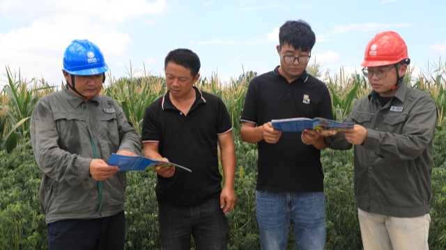 國網汝南縣供電公司：抗旱保供電 服務潤心田