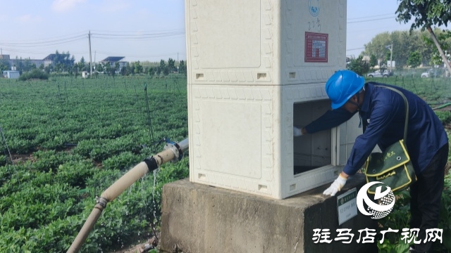 國網新蔡供電公司全力抗旱保電 守護民生與農耕“生命線”