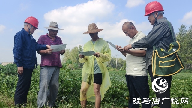 國網新蔡供電公司全力抗旱保電 守護民生與農耕“生命線”