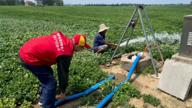 國網上蔡縣供電公司：全力抗旱保供電 農田“解渴”電力足