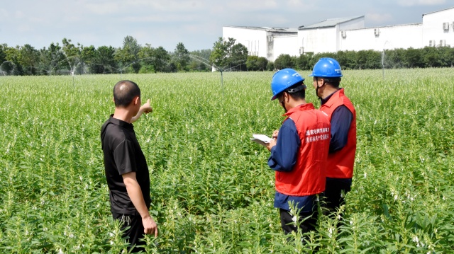 國網平輿縣供電公司：抗旱保電潤芝麻 電力護航保豐收