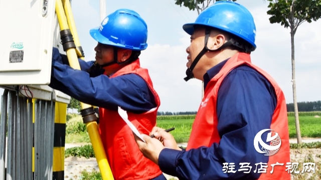 國網平輿縣供電公司:抗旱保電潤芝麻 電力護航保豐收