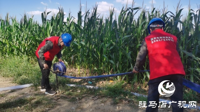 國網駐馬店供電公司:黨員先鋒在一線 抗旱保秋護民生