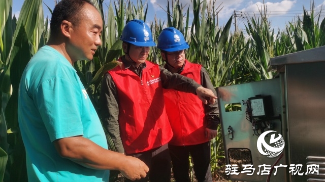 國網駐馬店供電公司:黨員先鋒在一線 抗旱保秋護民生