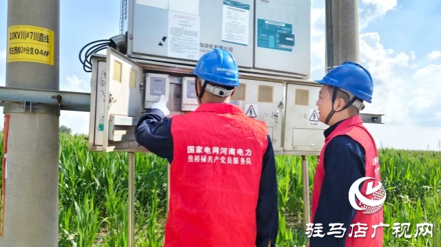 國網西平縣供電公司:抗旱保電“加速度” 守護田間“生命線”