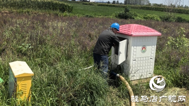 國網上蔡縣供電公司:全力護航夏灌用電